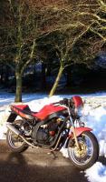 25-01-2012 Badner Höhe/Schwarzwaldhochstrasse